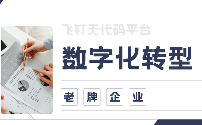 Erp企业管理系统 企业数字化转型一体化策略缩略图