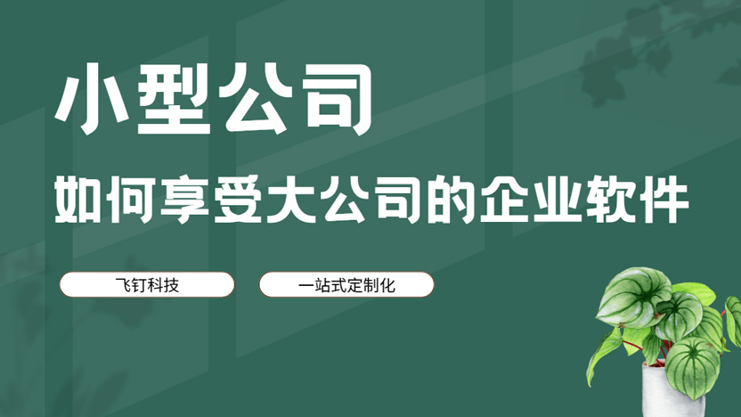 飞钉科技让小公司也能体验到大公司的软件服务缩略图